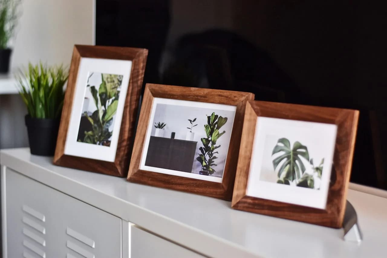 Tri drvena okvira s fotografijama biljaka na bijeloj komodi