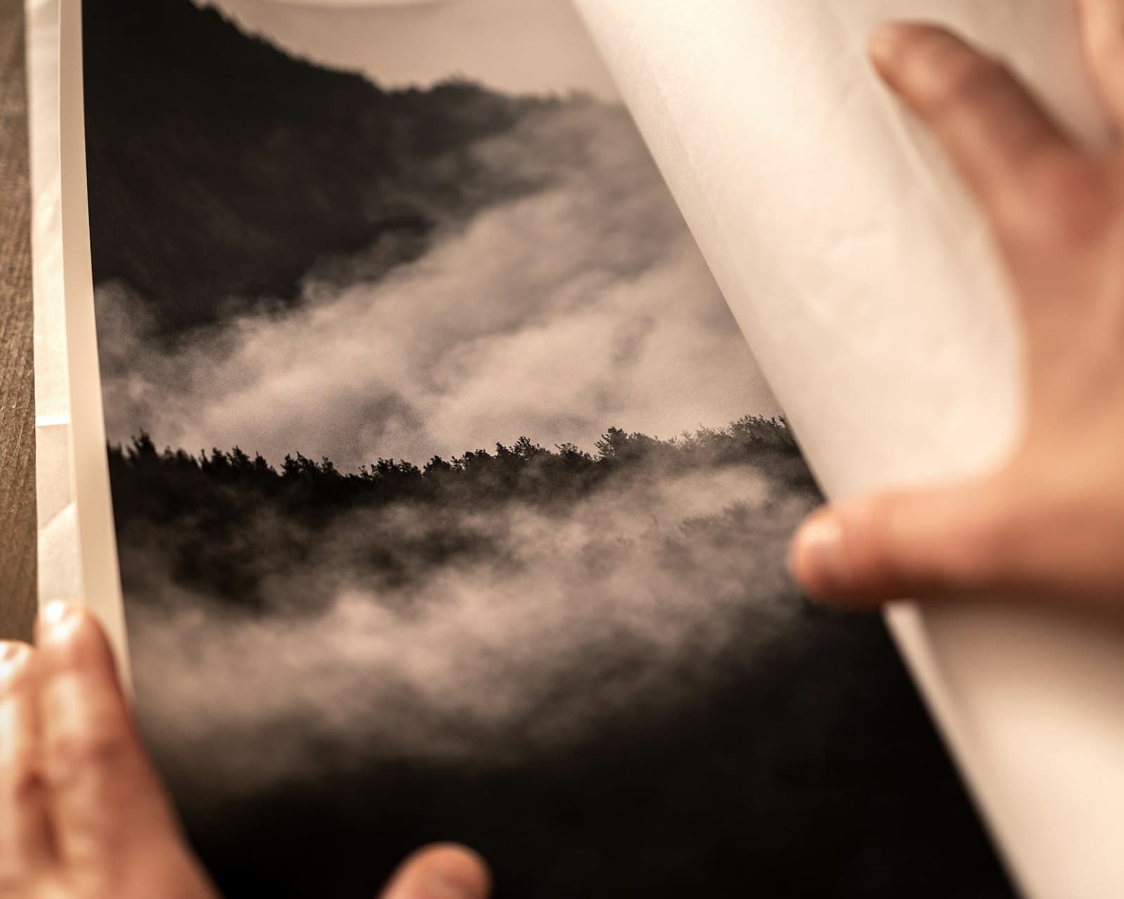 Ruke odmotavaju veliku otisnutu fotografiju magle iznad šume