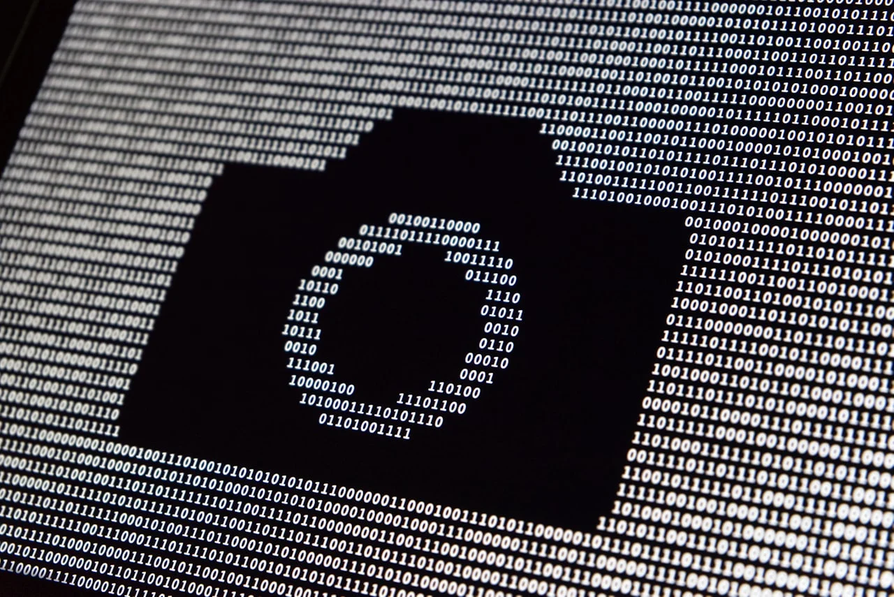 Ruka koja na ekranu računala provjerava detalje fotografije